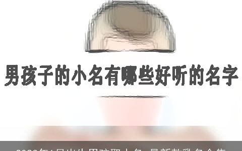 2023年1月出生男孩取小名 最新款乳名合集