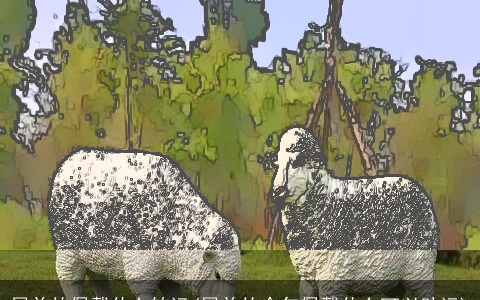 属羊的佩戴什么转运(属羊的今年佩戴什么可以助运)