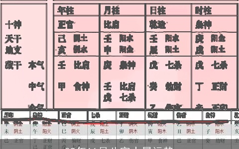 09年11月八字十星运势