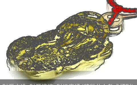 财源广进 财源滚滚 财运亨通(貔貅什么款式招财)