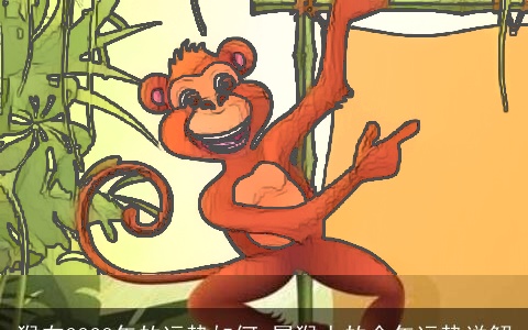 猴在2023年的运势如何 属猴人的全年运势详解