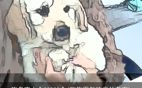 狗名字大全30000个(狗狗霸气响亮的名字)