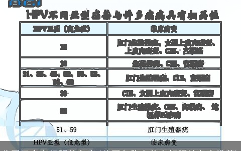 公司三个字好听的名字(公司名称有什么好听的名字推荐)