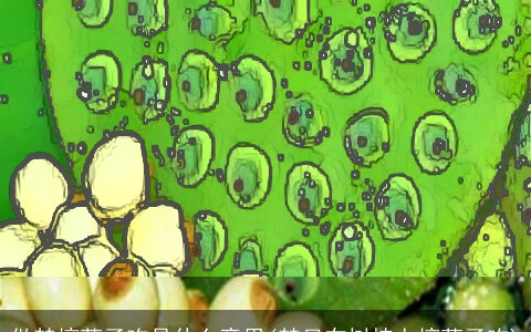 做梦摘莲子吃是什么意思(梦见在树枝上摘莲子吃)