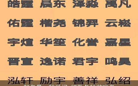 起名是一种学问 细数各种游戏名