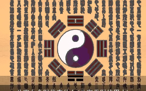 八字女命财代表什么(八字无财的男人)