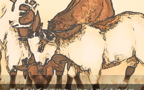 属兔属羊千万不能在一起二人不适合结婚吗