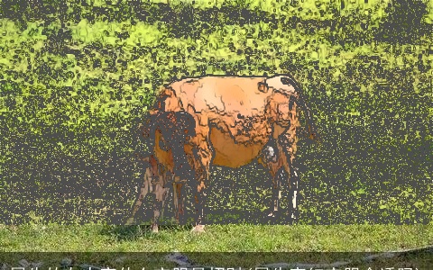 属牛的女人穿什么衣服最招财(属牛穿红衣服合适吗)