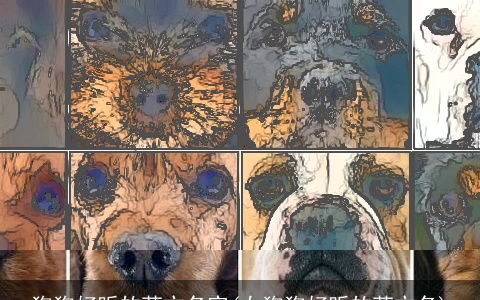 狗狗好听的英文名字(女狗狗好听的英文名)