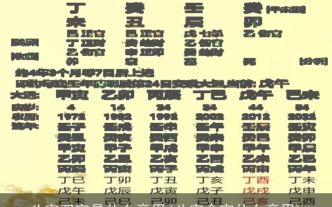 八字双官是什么意思(八字命官什么意思)