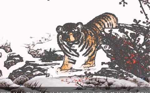 属狗的人养什么鱼比较好(属狗的人适合养什么鱼招财)