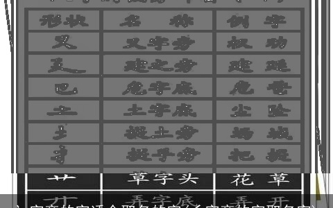 讠字旁的字适合取名的字(彡字旁的字取名字)