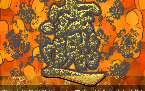 下元九运最当旺的 人(八字喜水适合戴什么首饰)