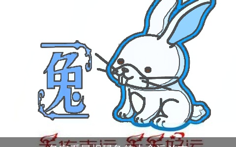 名字看属相属兔的人命运凶吉