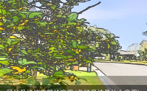 日月丹桂信手攀的意思(身骑丹桂是什么意思)