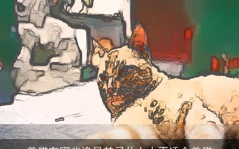 养猫有哪些诡异禁忌什么人不适合养猫