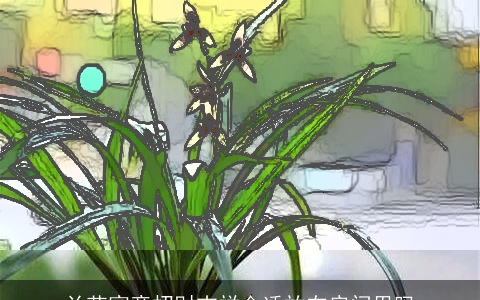 兰花寓意招财吉祥合适放在房间里吗