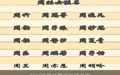 2023姓周的男孩独特名字