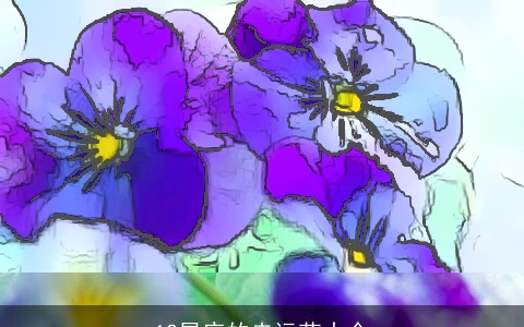 12星座的走运花大全