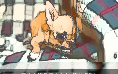 整个小狗名字大全(小狗的名称)