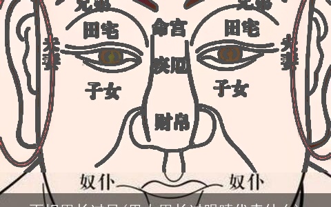 面相眉长过目(男人眉长过眼睛代表什么)