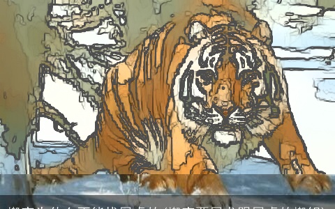 搬家为什么不能找属虎的(搬家要属龙跟属虎的搬锅)