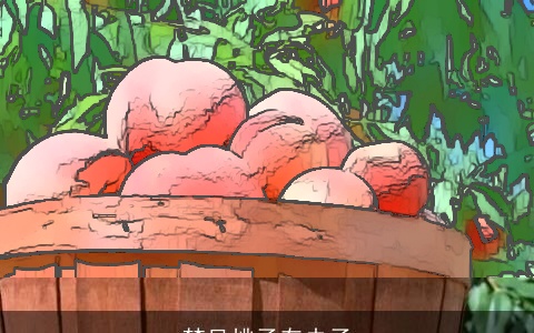 梦见桃子有虫子