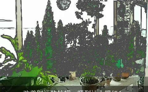 改善财运的妙招，旺到让人眼红！