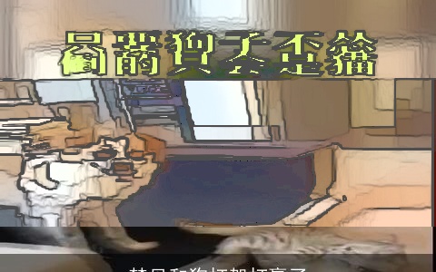 梦见和狗打架打赢了