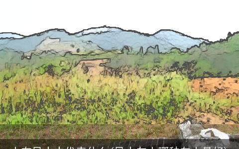 山在风水中代表什么(风水向山哪种向山最好)