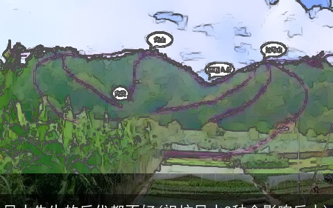 风水先生的后代都不好(祖坟风水8种会影响后人)