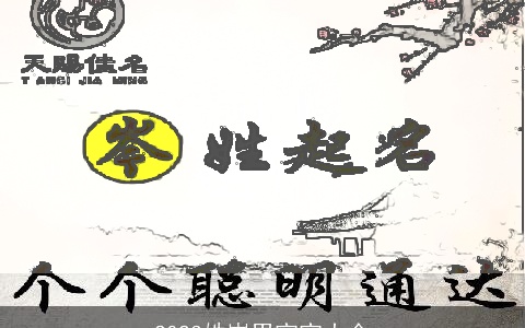 2023姓岑男宝宝大全