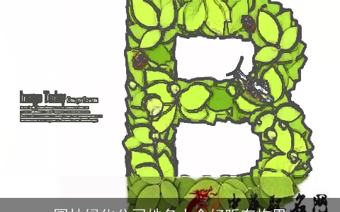 园林绿化公司姓名大全好听有构思