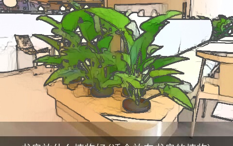 书房放什么植物好(适合放在书房的植物)