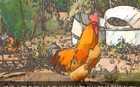 属鸡人取名字大全集(姓吴的取名比较特别的名字)