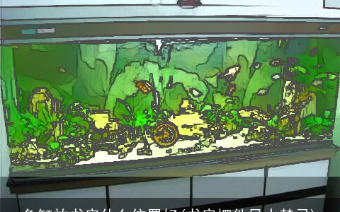 鱼缸放书房什么位置好(书房摆件风水禁忌)