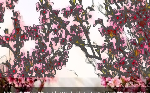 催旺桃花运符图片(男人什么东西招桃花最厉害)