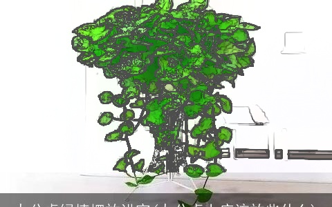 办公桌绿植摆放讲究(办公桌上应该放些什么)