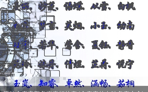 男孩金字旁取名寓意好的字(金字旁的女孩名字大全)