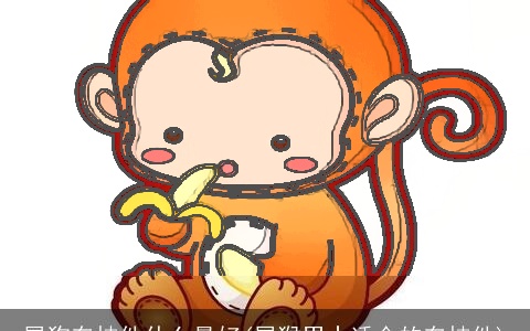 属狗车挂件什么最好(属猴男士适合的车挂件)