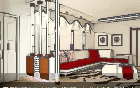 客厅隔断有什么讲究（隔断上放什么有利于风水）