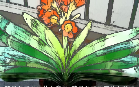 梦见君子兰是什么意思 梦见君子兰有什么预兆