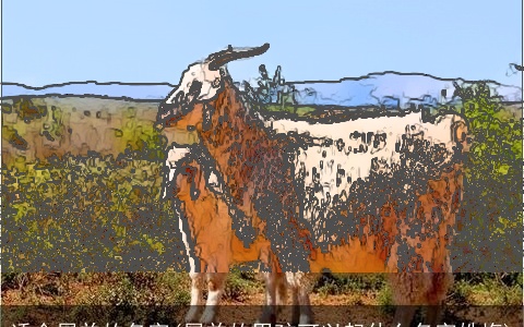 适合属羊的名字(属羊的男孩可以起什么名字姓梅)