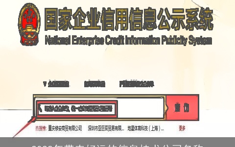 2022年带来好运的信息技术公司名称