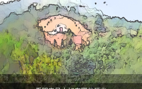 看阴宅风水好有哪些预兆