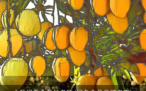 十种绿色食品的名称(绿色食品品牌名字)