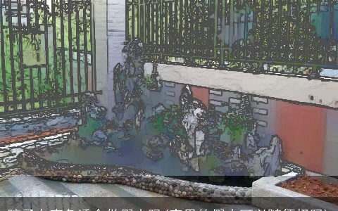 院子东南角适合做假山吗(家里的假山可以随便扔吗)