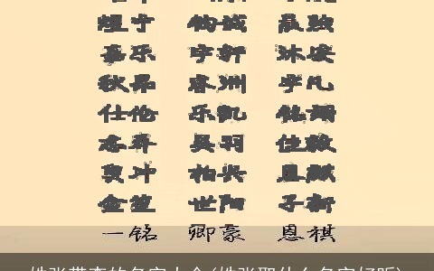 姓张带李的名字大全(姓张取什么名字好听)