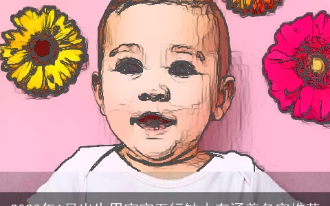 2023年1月出生男宝宝五行缺木有涵养名字推荐