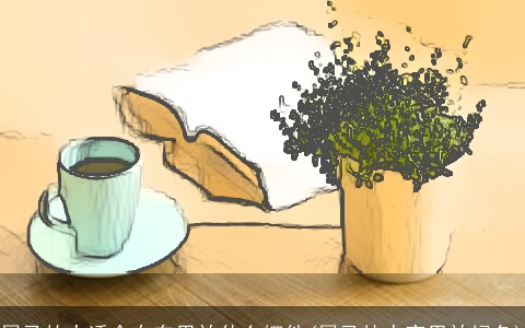 属马的人适合在车里放什么摆件(属马的人家里放绿色)